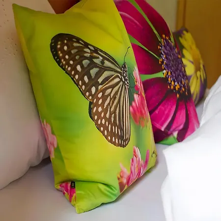 Appartement 4 Personen Mit Doppelzimmer Bad Rippoldsau-Schapbach