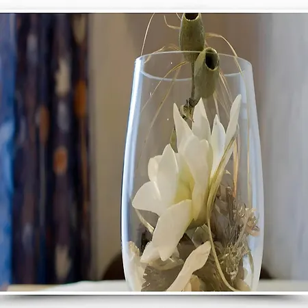 4 Personen Mit Doppelzimmer Bad Rippoldsau-Schapbach