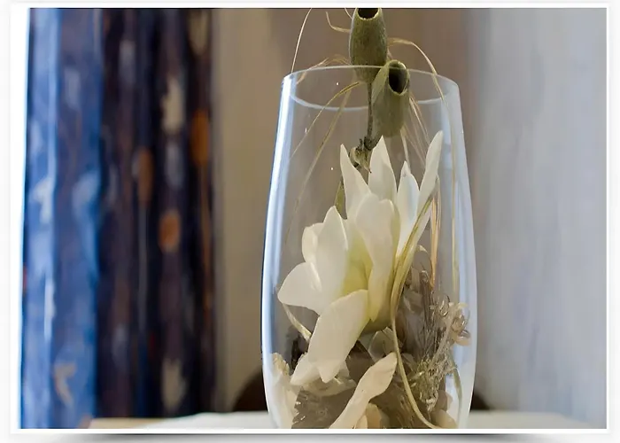 4 Personen Mit Doppelzimmer Bad Rippoldsau-Schapbach